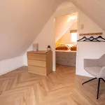 Sonne Holiday home Egmond aan Zee